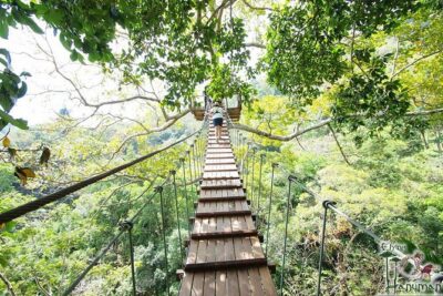 Hanuman World Phuket: Zipline & Canopy Thrills - Hotel Pickup and Timing: The Part That Can Make or Break Your Morning