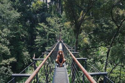 Hanuman World Zipline & Skywalk Phuket - Choosing Your Package: 10 vs 18 vs 32 Platforms (Plus Roller)
