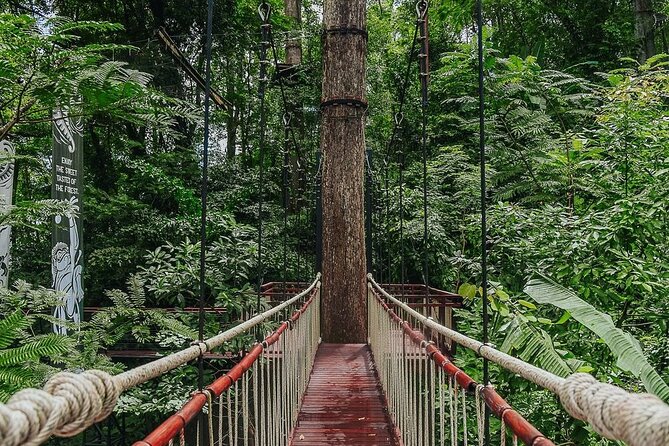 Hanuman World Zipline & Skywalk Phuket - Who This Fits Best in Phuket