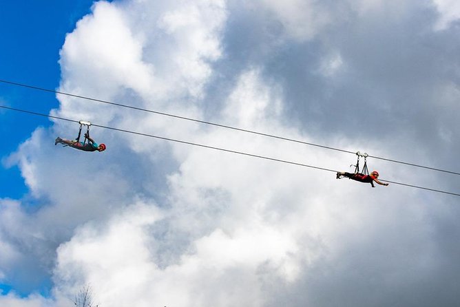 Hawaii Kipu Ranch PowerLine Zipline with Guide - Views You Can Look At: Lush Scenery From a Height