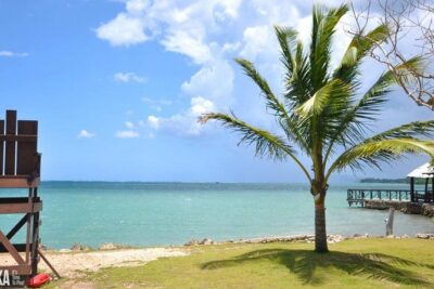 Horseback Riding/Zipline Combo Tour at Chukka Ocean Outpost with Transportation - Zipline Time With Real Coaching (and Real Names)