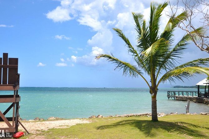 Horseback Riding/Zipline Combo Tour at Chukka Ocean Outpost with Transportation - Zipline Time With Real Coaching (and Real Names)