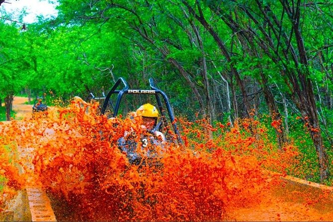 Jamwest: Zipline, Cultural Ride, and ATV Off-Road Adventure - Final call: should you book the Jamwest Zipline, Safari, and ATV day?