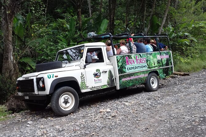 Jeep & Zipline Adventure in St. Lucia - Jeep safari drive: more than just transportation