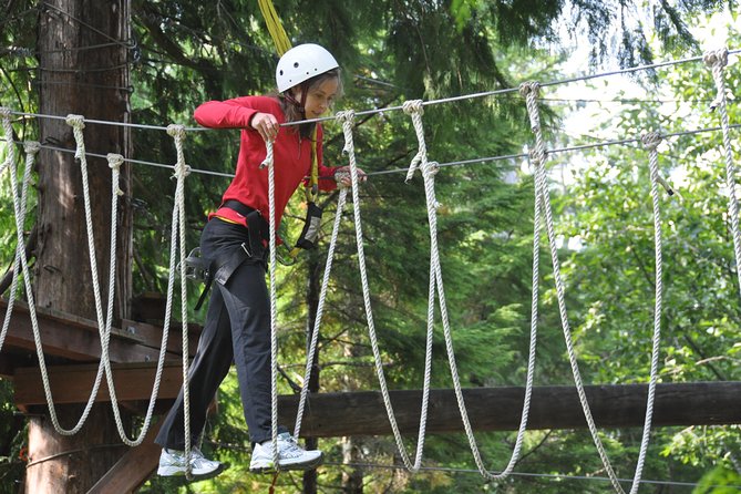 Ketchikan Shore Excursion: Rainforest Canopy Ropes and Zipline Adventure Park - Rope Bridges, Suspended Logs, and Swing-Step Fun