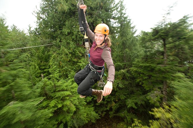 Ketchikan Shore Excursion: Rainforest Canopy Ropes and Zipline Adventure Park - The $150 Value: Why This Feels Like a Real Adventure