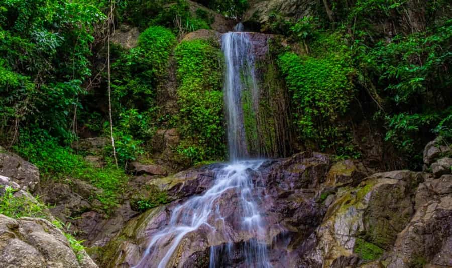 Ko Samui: Tree Bridge Jungle Zipline and Waterfall Adventure - A 2-hour Samui plan that mixes adrenaline and calm