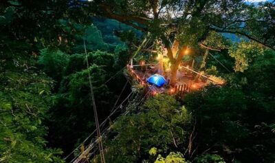 Ko Samui: Tree Bridge Jungle Zipline and Waterfall Adventure - Getting picked up and climbing to Tree Bridge Cafe