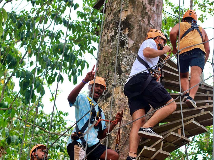 Koh Samui: Panoramic Zipline Experience at Samui Zipline - Who this is perfect for (and who should skip it)