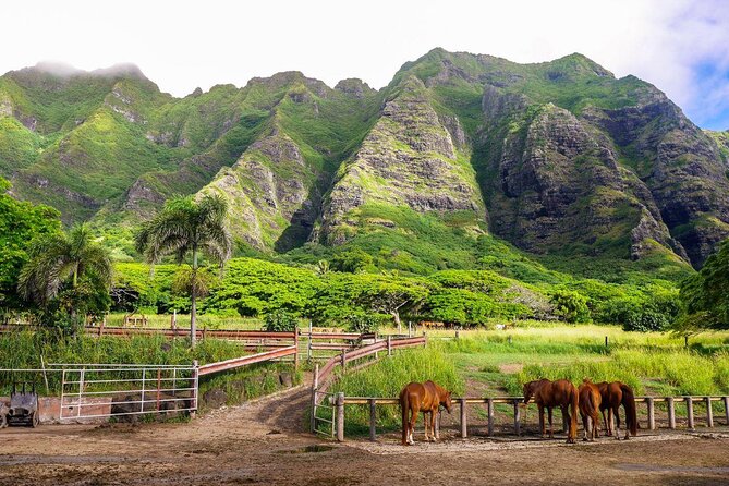 Kualoa Ranch - Zipline Tour - Quick Takes Before You Book
