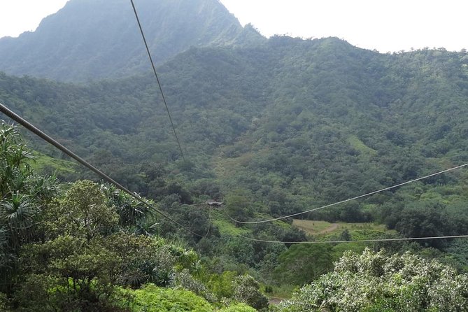 Kualoa Ranch - Zipline Tour - Should you book Kualoa Ranch Zipline Tour?