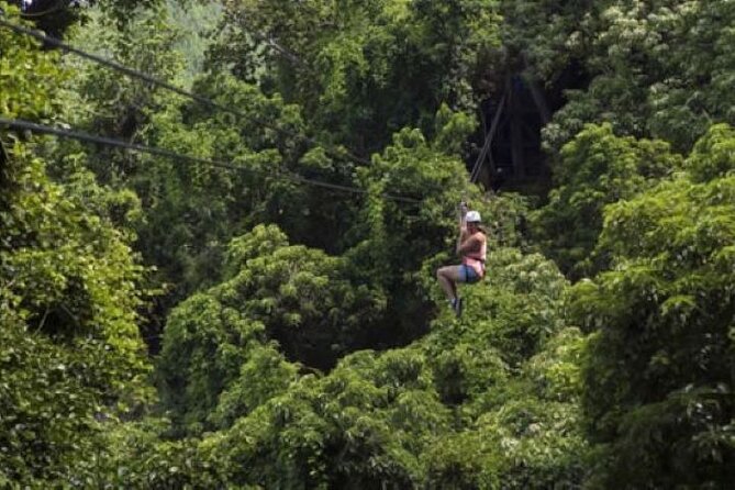 Largest Zipline in South Pacific & Cave Exploration in Nadi - Three Ecosystems You’ll Actually Feel in Your Body