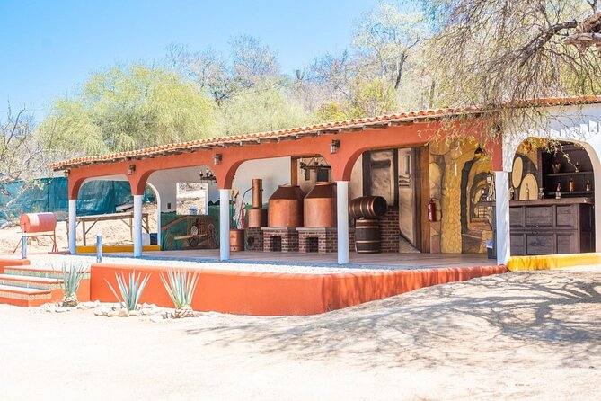 Los Cabos Costa Azul Zipline Eco-Adventure - What a typical half-day feels like once you arrive