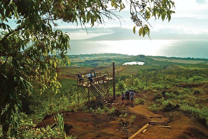 Maui 8 line Zipline Adventure: Soar above valleys & Island views - Key Things I’d Look For Before Booking