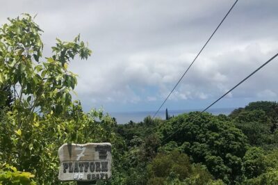 Maui Zipline Eco Adventure: 8 Lines through the Jungle - Course Highlights: 8 Lines Through the Jungle With Bridges Included