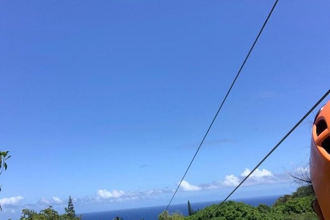 Maui Zipline Eco Adventure: 8 Lines through the Jungle - Timing It Right on a Hana Highway Day Trip