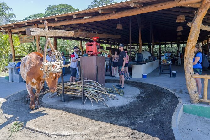 Mega Combo Adventure - Zip lines up to 150 meters: the view, the nerves, and the payoff