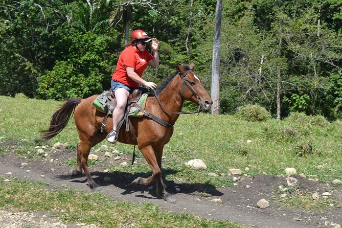 Mega Extreme Adventure: Horseback Riding, Ziplining and more - Mega Adventures Farm Stop: Ziplining Through the Trees