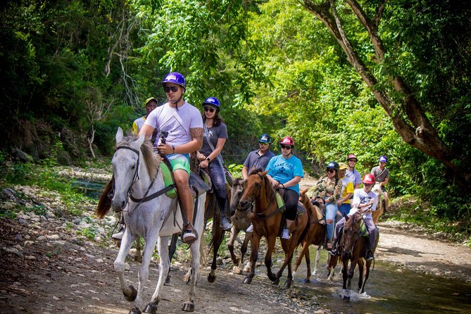 Mega Extreme Adventure: Horseback Riding, Ziplining and more - Price and Value: Why $135 Can Work (or Not)