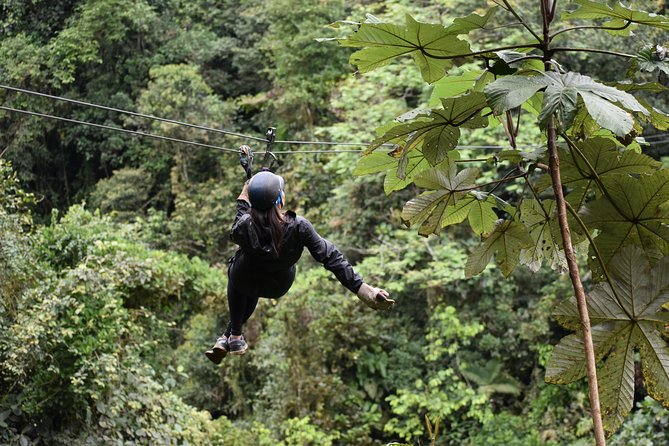 Mindo Ziplines Tours / Canopy Tour / Zip Line - Mindo Canopy Ziplines: Flying Above the Cloud Forest