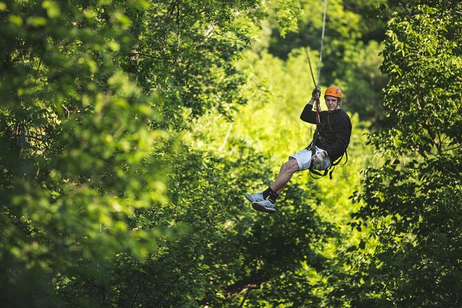 Minnesota River Valley 14-Line Thrilling Zipline Canopy Tour - What Guides Like Maddie and Josiah Do Better Than Most