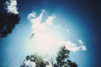Minnesota River Valley 14-Line Thrilling Zipline Canopy Tour - The 14 Lines Over the Minnesota River Valley: Variety Is the Point