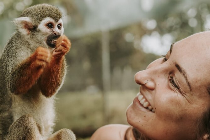 Monkey Jungle with Zip line - Key highlights in plain terms