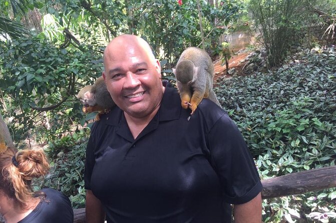 Monkey Jungle with Zip line - The zip line with a 7-base extension: what to expect