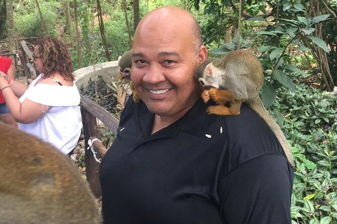 Monkey Jungle with Zip line - Price and value: is $125 a fair deal for 4 hours?