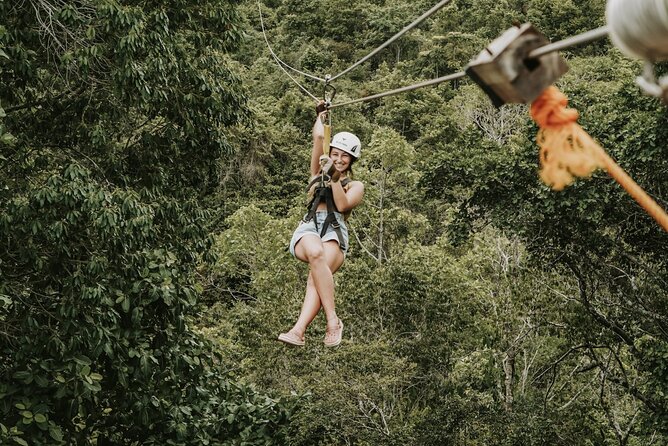 Monkey Jungle with Zip line - Weather and timing: why good conditions matter