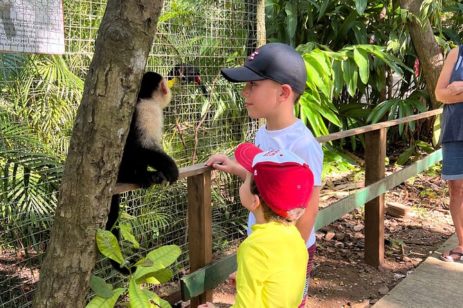 Monkey/Sloth Park + Zipline And City Tour In Roatan - Monkey and Sloth Park in Roatan: The Big Picture