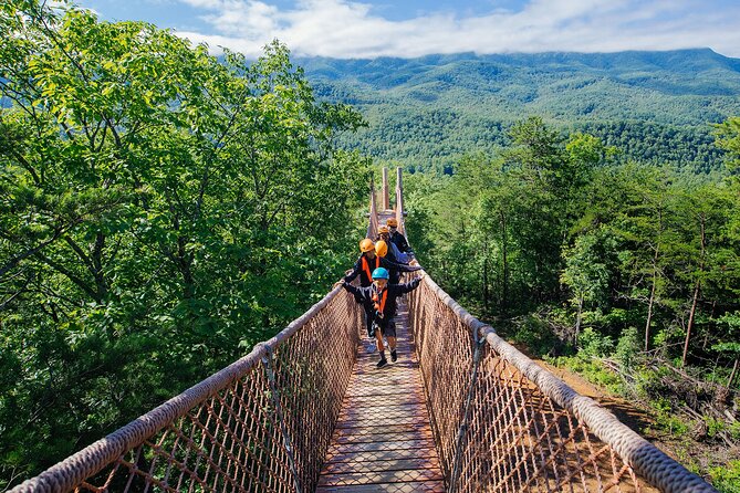 Mountaintop Zipline 2-Hours Activity - Quick hits before you clip in