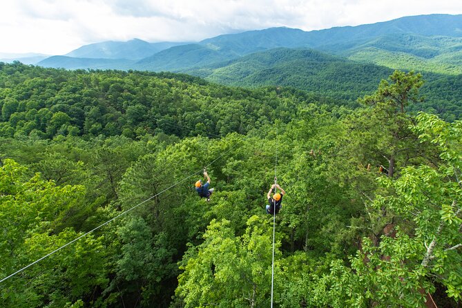 Mountaintop Zipline 2-Hours Activity - Who should book this (and who should skip it)
