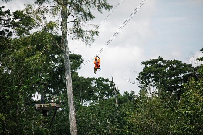 New Orleans Zipline Swamp Tour - Key things to know before you go