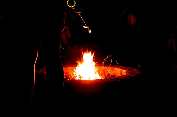 Night Zipline: 3 Zipline Adrenaline Adventure - Who This Tour Suits Best (And Who Might Want a Different Option)
