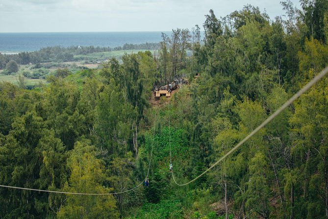 Oahu's North Shore: 8-Line Zipline Adventure - Rappels, sky bridges, and boardwalks: the “between-line” part people talk about