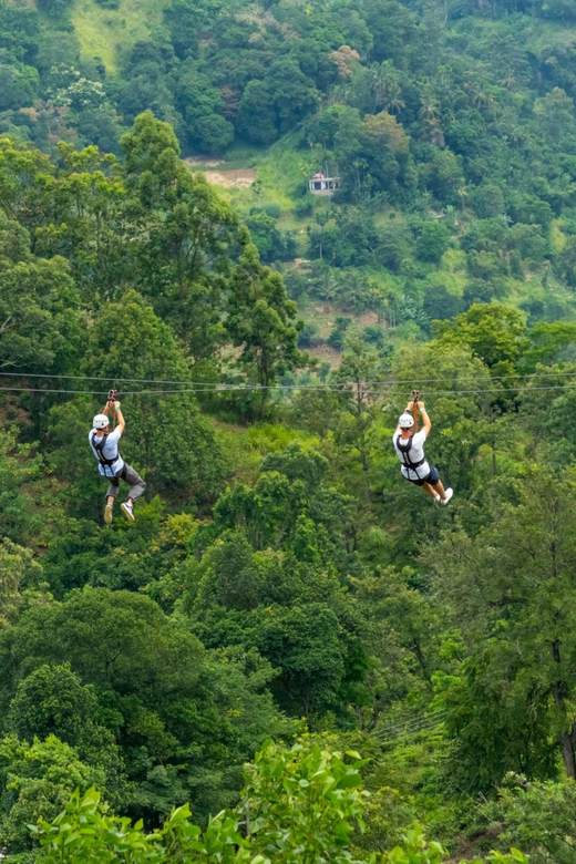 Pai: Ultimate Ziplining Adventure through the Jungle - Key Takeaways Before You Clip In