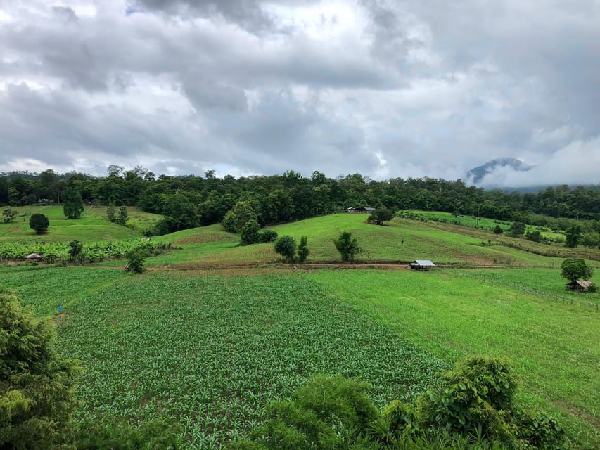 Pai: Ultimate Ziplining Adventure through the Jungle - Who Should Book This Zipline, and Who Should Pass
