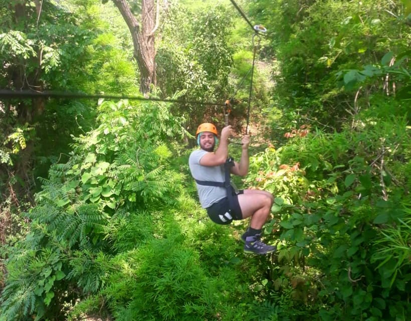 Pai: Ultimate Ziplining Adventure through the Jungle - Views and Wildlife: What You Can Spot From Above