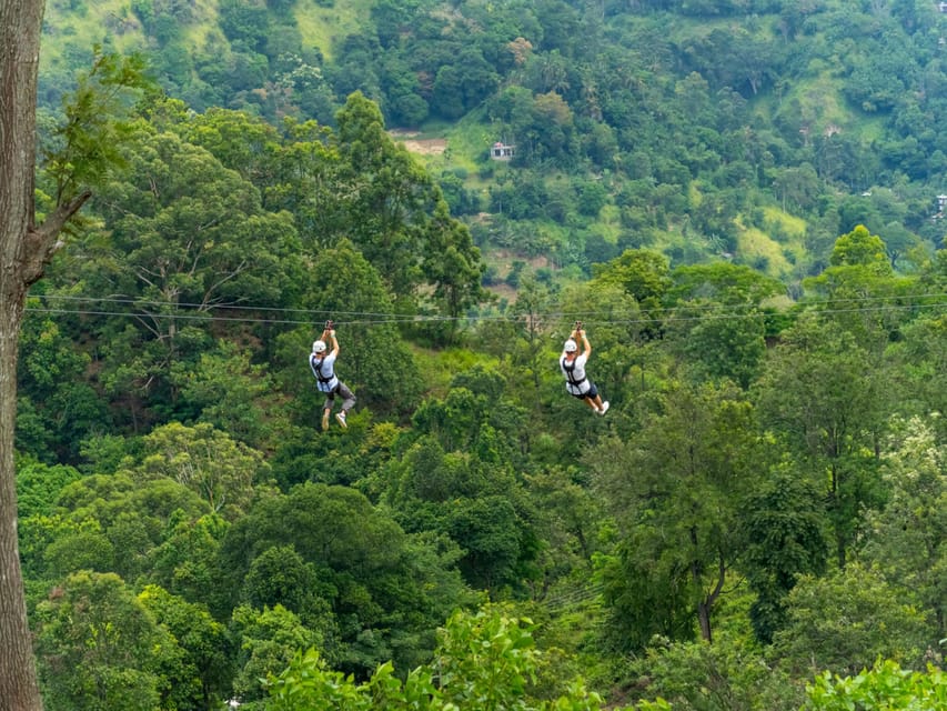 Pai: Ultimate Ziplining Adventure through the Jungle - Private vs Shared: Choose the Pace That Fits You
