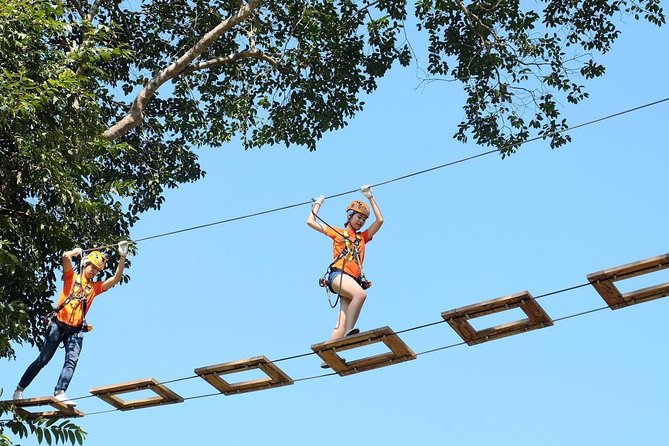 Phoenix Zipline Adventure Park – Chiang Mai Thrills - Phoenix Adventure Park: a forest-side escape from Chiang Mai’s streets