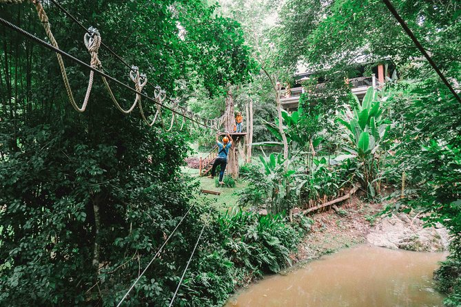 Phoenix Zipline Adventure Park – Chiang Mai Thrills - How the 10-platform, 24-platform, and high-rope options change the day