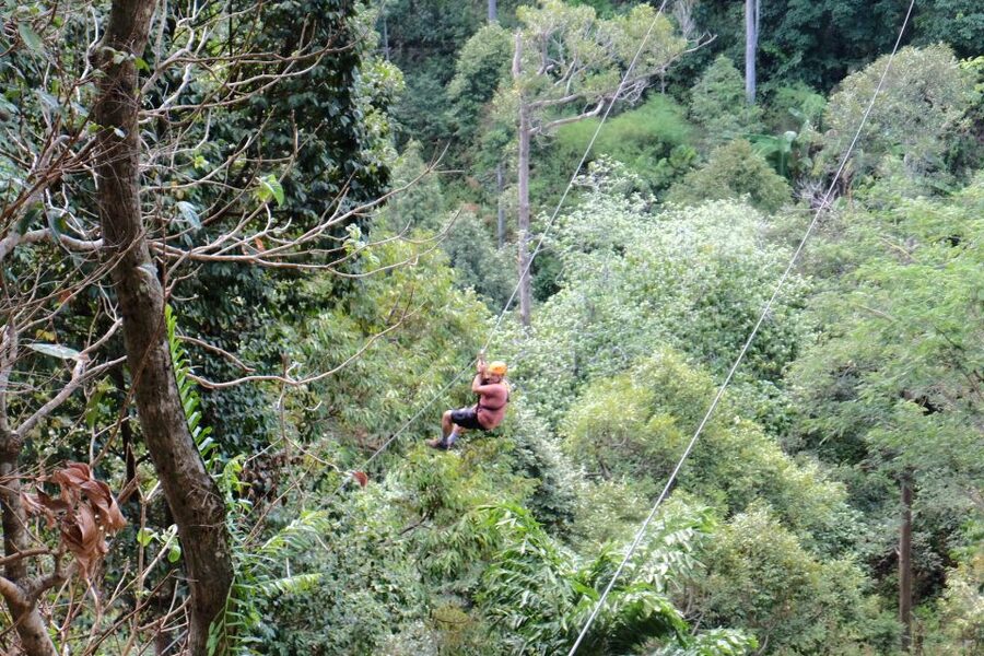 Phuket: Paradise Jungle Zipline Adventure - Timing in High Season: The 2:30 pm Slot Can Run Long