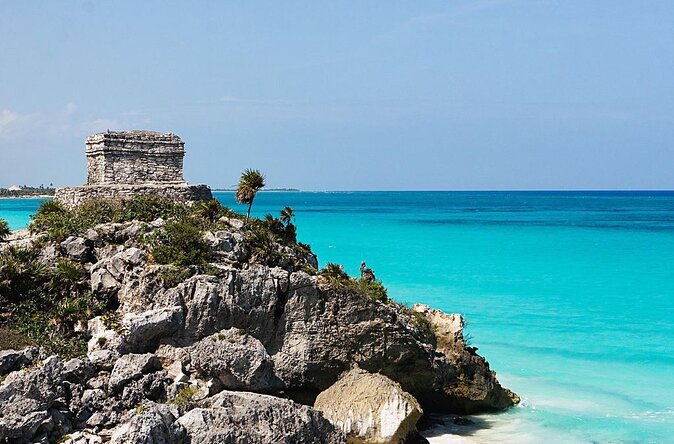 Playa del Carmen Jungle Tour: Tulum, Cenote Snorkeling, Ziplining and Lunch - Key Highlights at a Glance