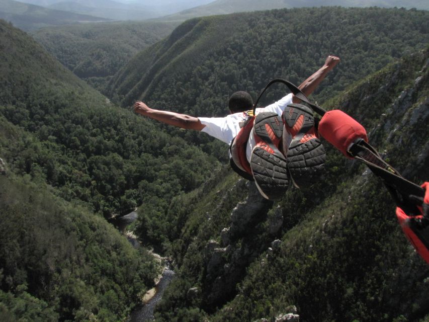 Plettenberg Bay: Bungee Jumping with Zipline and Sky Walk - Face Adrenalin meeting point: what to do before you’re clipped in