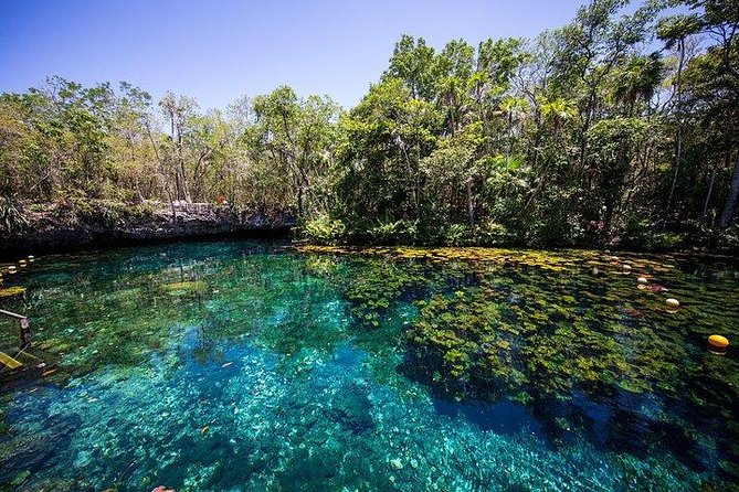 Private Coba & Jungle Adventure: Zipline, Rappel & Cenote - Zipline over the canopy: fast, thrilling, and built on good instruction