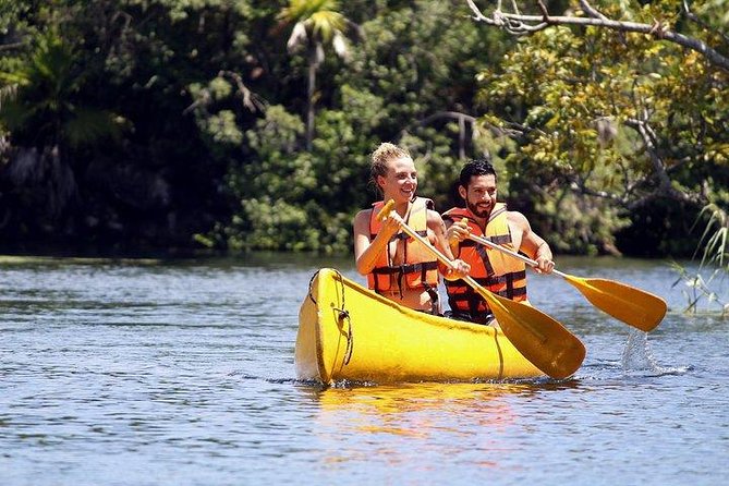 Private Coba & Jungle Adventure: Zipline, Rappel & Cenote - Price and value: what $292.50 buys you (and why it can be worth it)