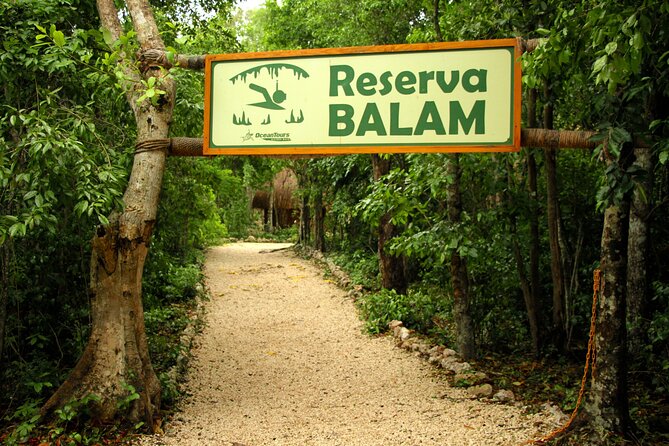 Private Jungle Adventure tour: Zipline + Rappel + Cenote - What to Bring (and What to Leave Behind)