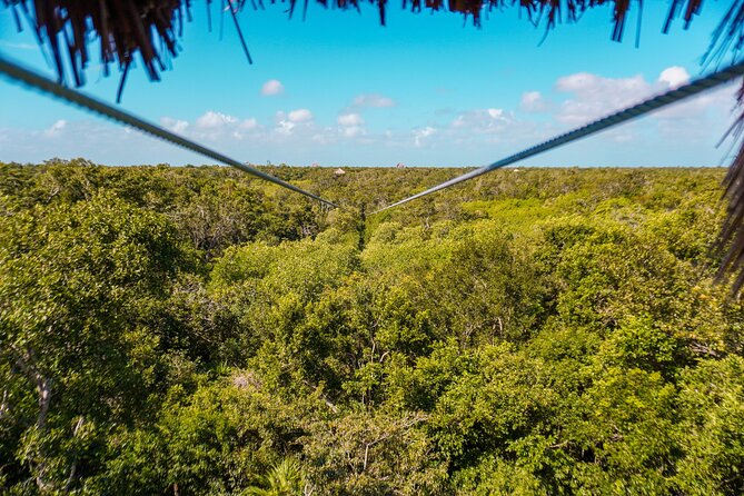 Private Jungle Adventure tour: Zipline + Rappel + Cenote - Timing and Energy: How to Handle an Early-Morning Adventure