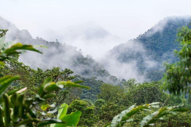PRIVATE Mindo Cloud Forest tour - Key highlights to look for